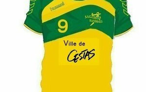 Mise à jour des liens de la FFHB