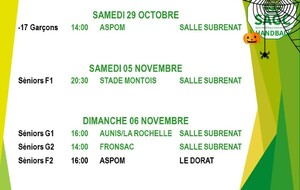 MATCHS DES 29/10, 05 et 06/11